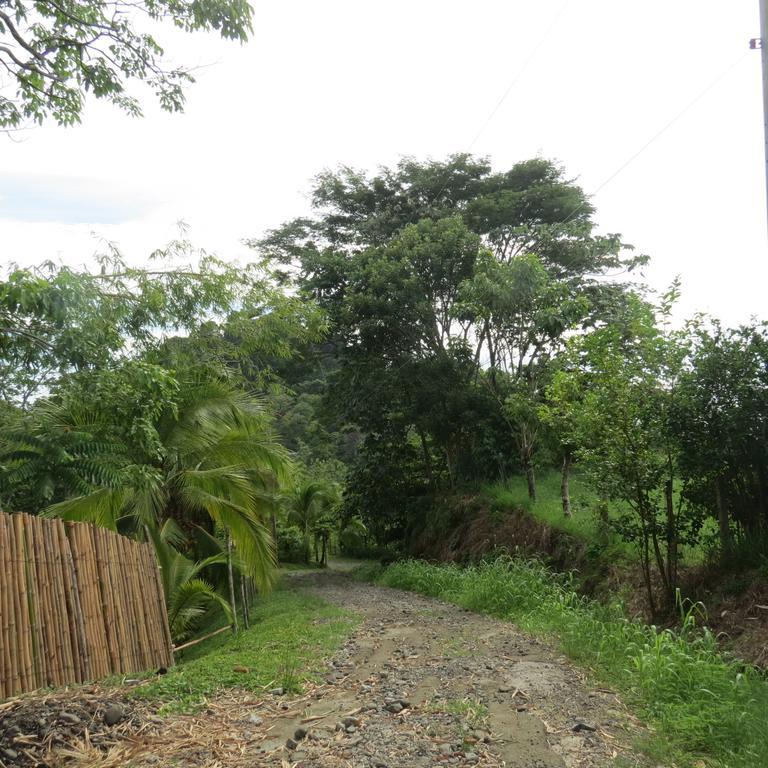 Apartamento Karibu Manuel Antonio Quarto foto