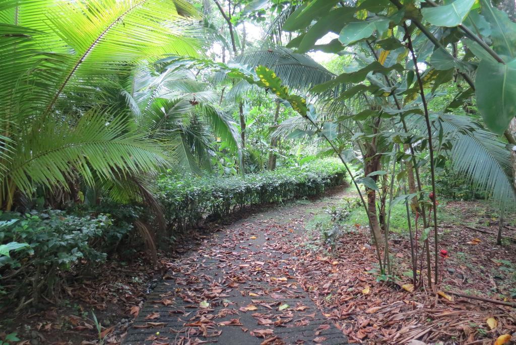 Apartamento Karibu Manuel Antonio Quarto foto